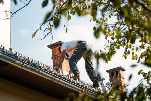 Best Affordable Roof Replacement  in Evansville, WY